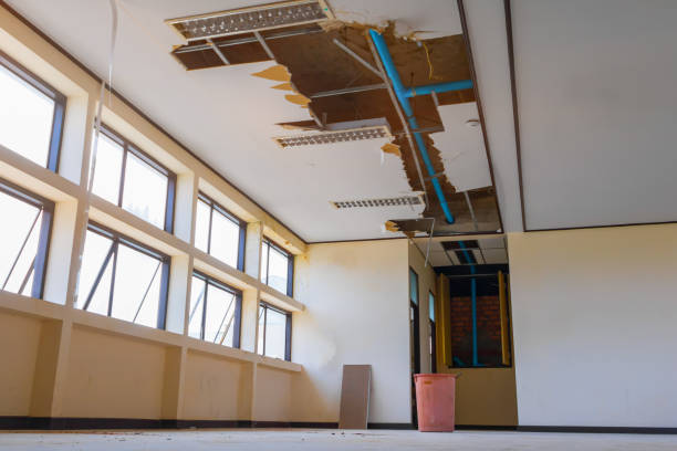 Best Sewage cleanup and water damage restoration  in Sonora, TX