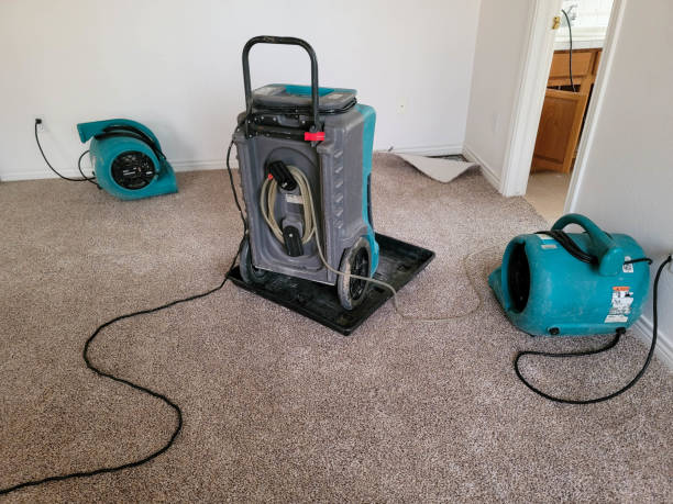 Best 24/7 water damage repair  in Sonora, TX