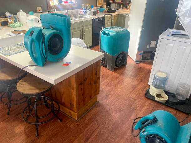 Best Local water damage restoration  in Sonora, TX