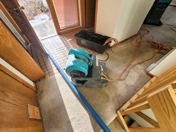 Best Water damage restoration near me  in Sonora, TX