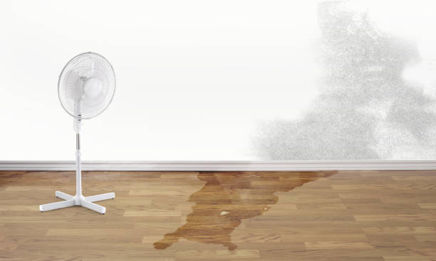 Best Residential water damage restoration  in Sonora, TX