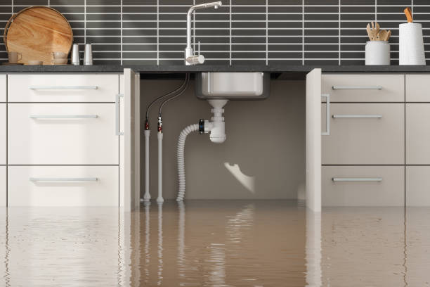 Best Ceiling water damage repair  in Sonora, TX